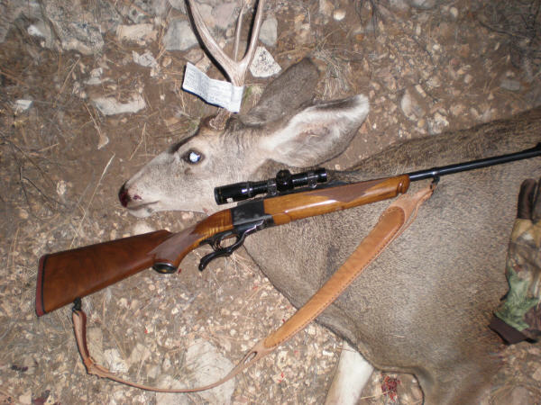 deer08.jpg